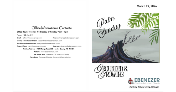 A Palm Sunday Sermon