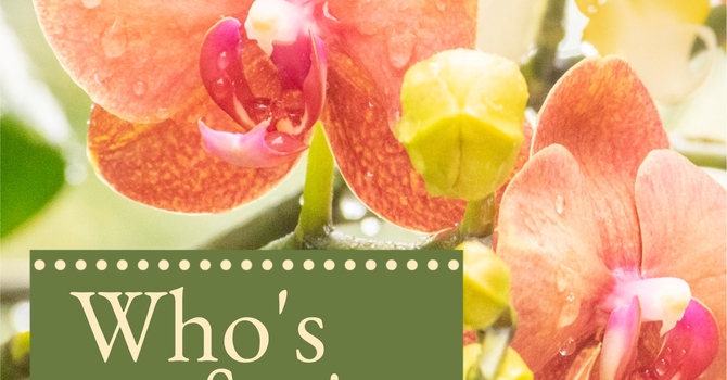 THIS WEEK & WHO'S SERVING image