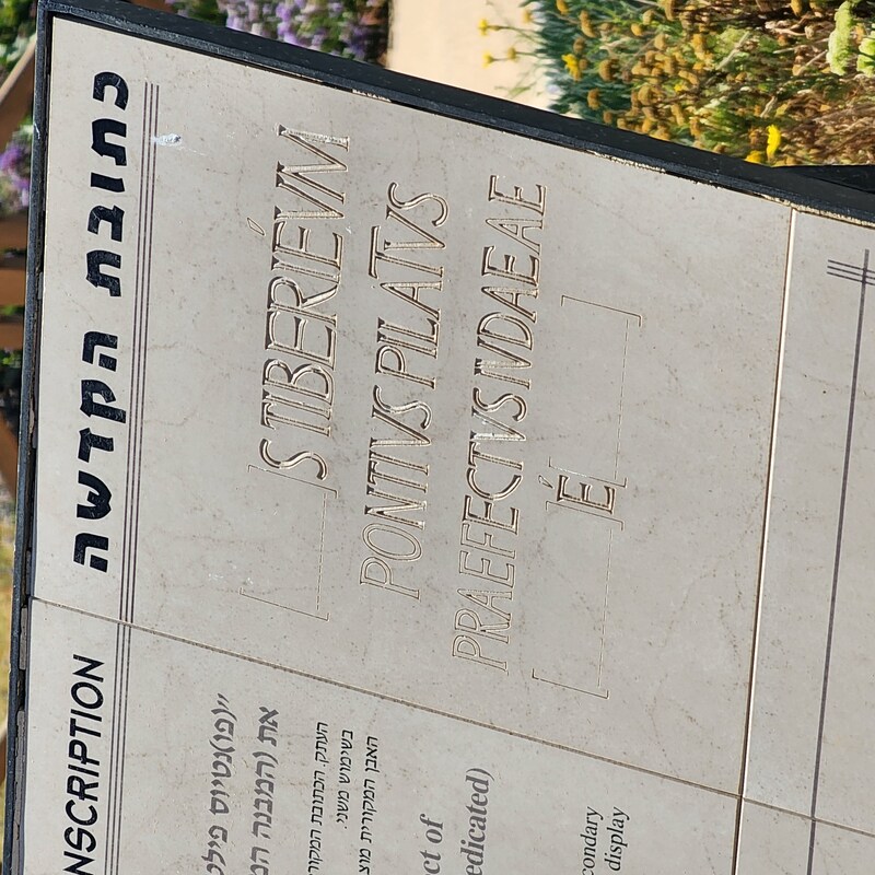 THE FOAL, THE VINE, THE LAMB, AND THE RETURNING KING