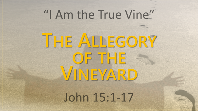 Easter Sunday... "The Allegory of the Vineyard"