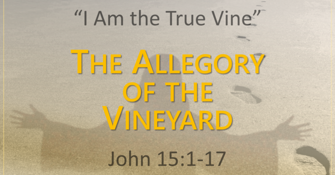 Easter Sunday... "The Allegory of the Vineyard"