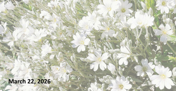 Sermon: An Early Easter