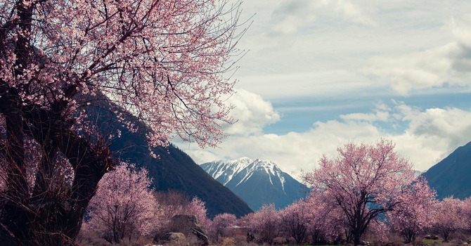 April 2, 2026 Devotion image