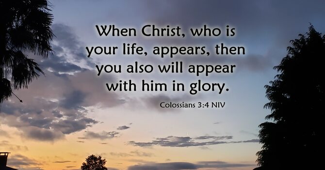 Oh Happy Day!! image