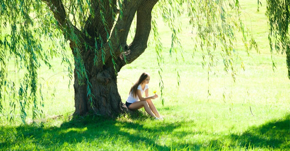 Health & Wellness Meeting