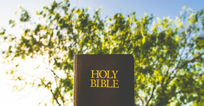 April-May 2026 Newsletter image