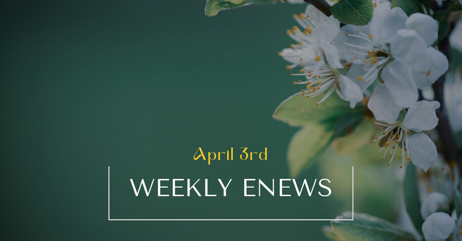 Weekly eNews: April 3, 2026 image
