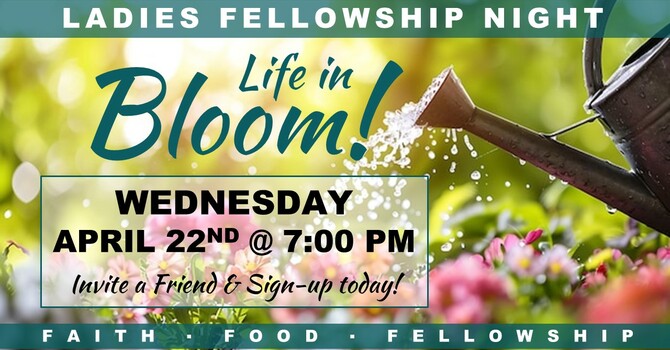 Ladies Spring Fellowship Night