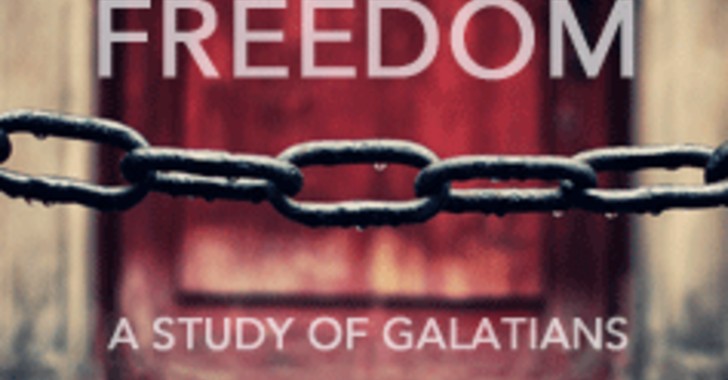 Set Free from the Law