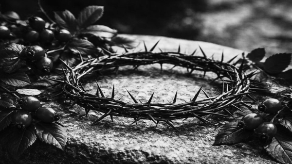 A Note of Apology: No Livestream Today