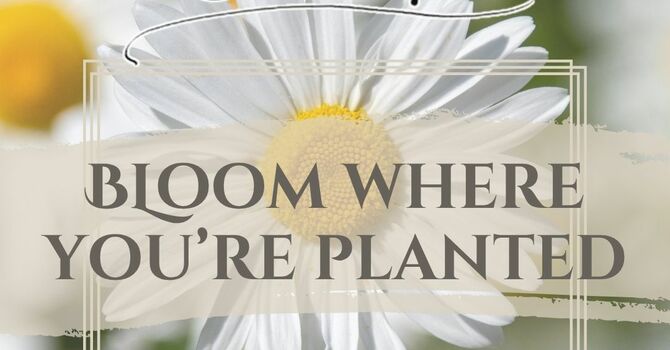 April Connections Women's Event