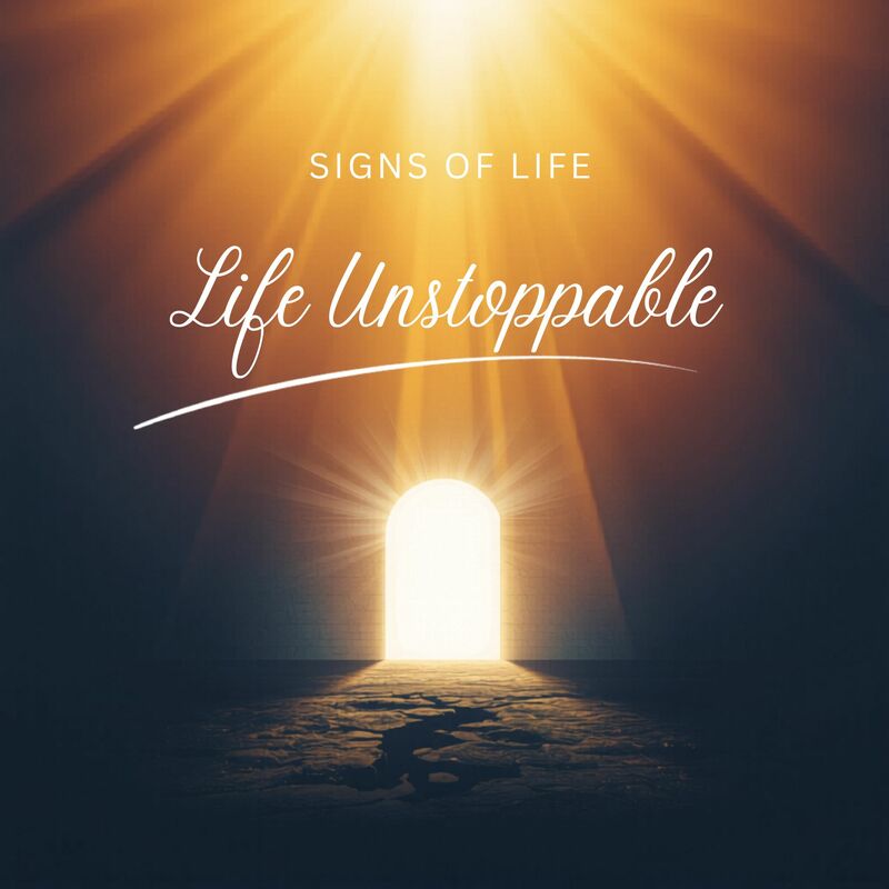 Life Unstoppable