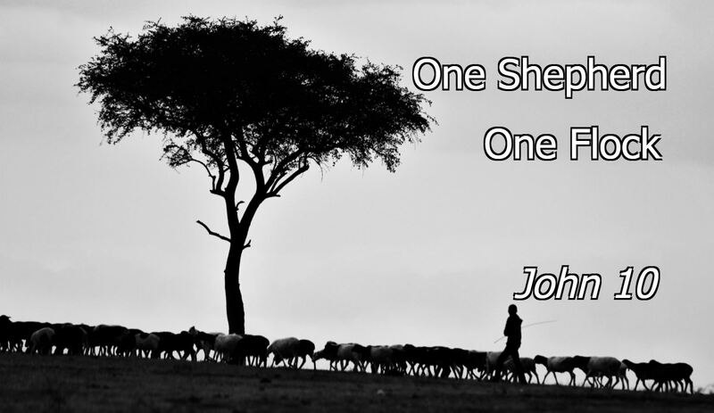One Shepherd. One Flock.