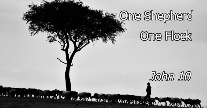 One Shepherd. One Flock.