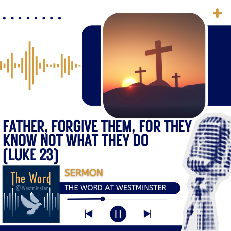 Father, forgive them, for they know not what they do.