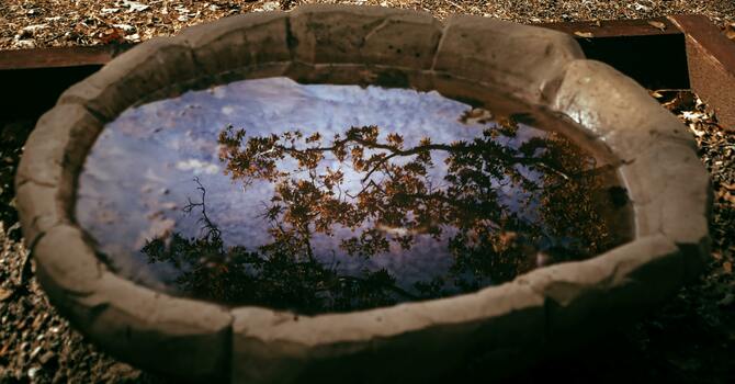 Lord, are you going to wash my feet?