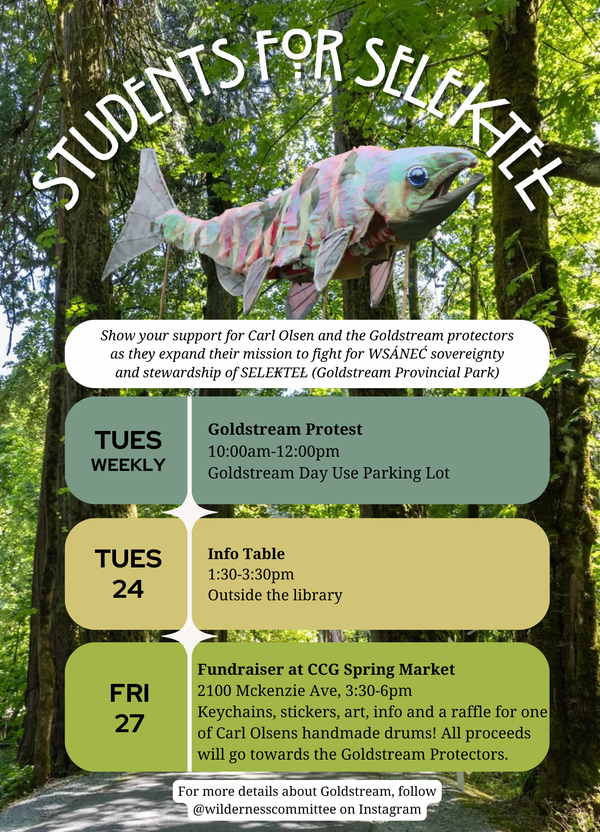 SELEKTEL/Goldstream Update