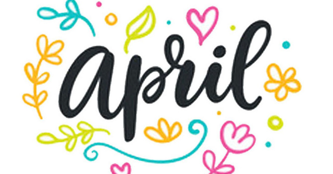 Rockport Updates:  April 3, 2026 image