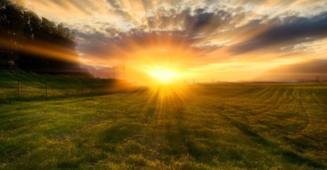 Easter Sunrise Service Bulletin image