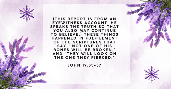 Did Jesus Really Die? How Can I Believe?