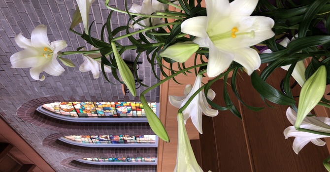 Easter Services - 8am (said) and 10am (Festive Choral Eucharist) April 5th image