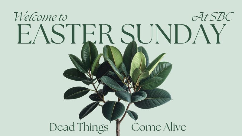 Dead Things Come Alive