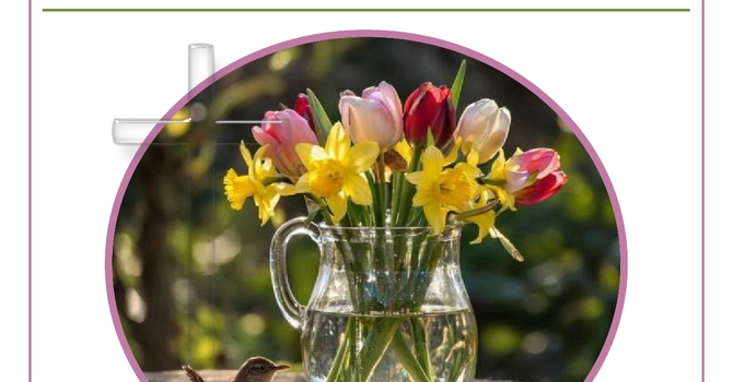 The Easter 2026 Issue of St. Luke's Prescription is Now Available image