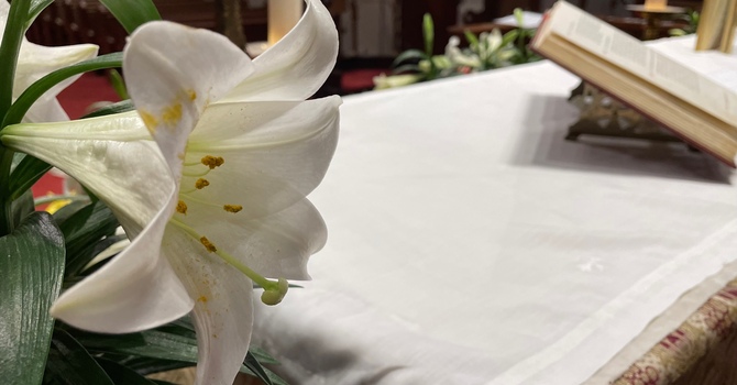 10:30 am Bulletin for      April 5, 2026 image