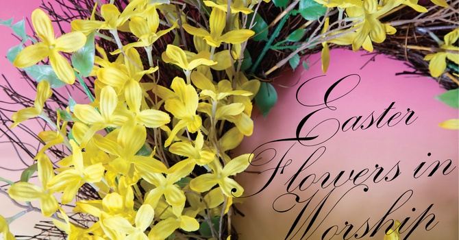 Easter Flowers in our Worship image
