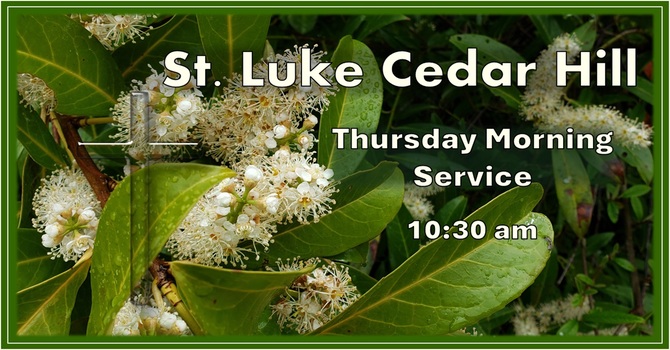 Mid-Week Morning Prayer Service