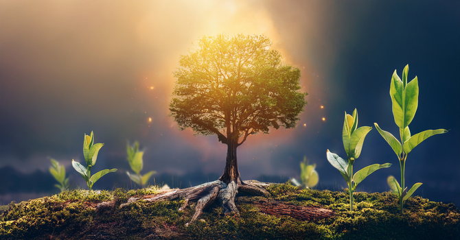 Fourth Sunday of Easter