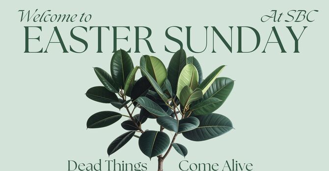 Dead Things Come Alive