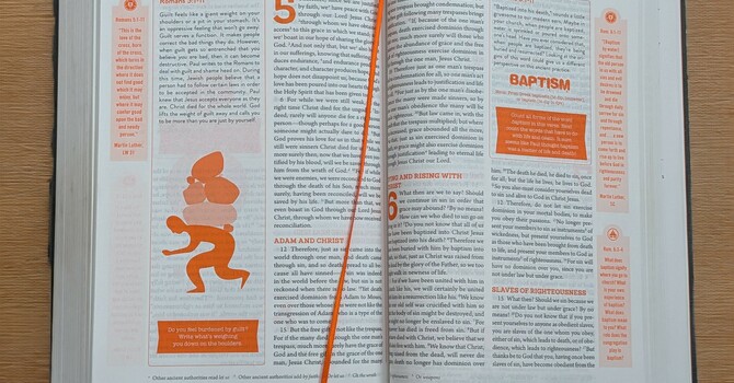 Bible Study