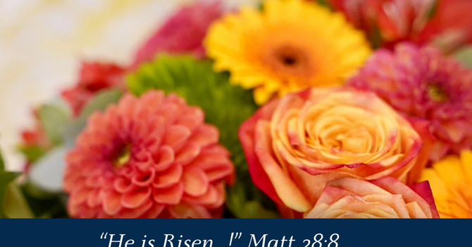 "...Yet Filled With Joy." 