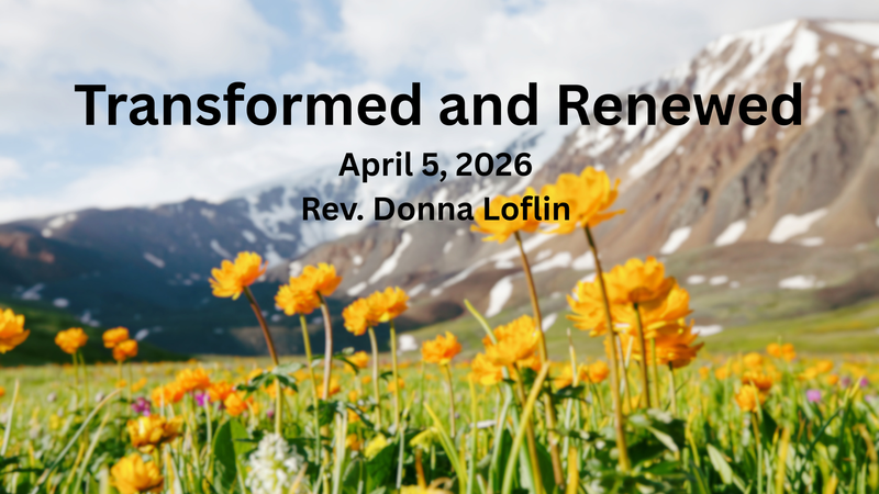 Transformed and Renewed