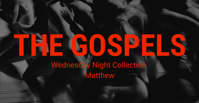 Why Do We Have Four Gospels?