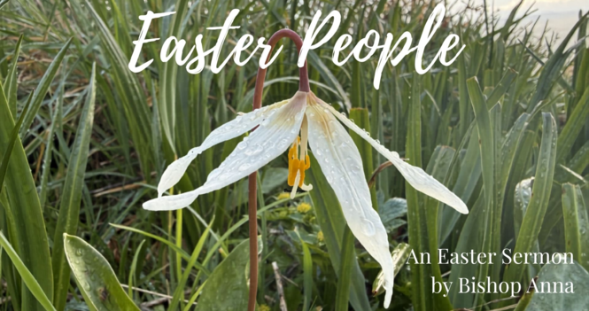 Easter Message from Bishop Anna