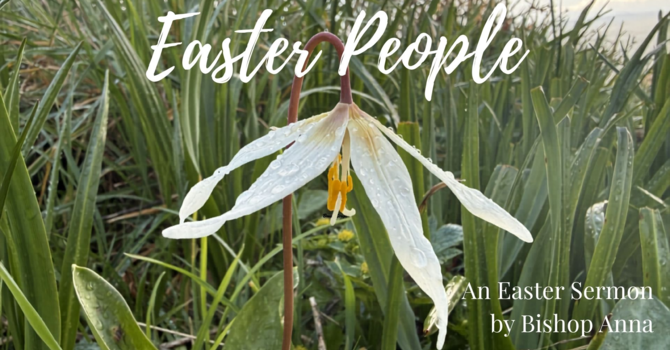 Easter Message from Bishop Anna image