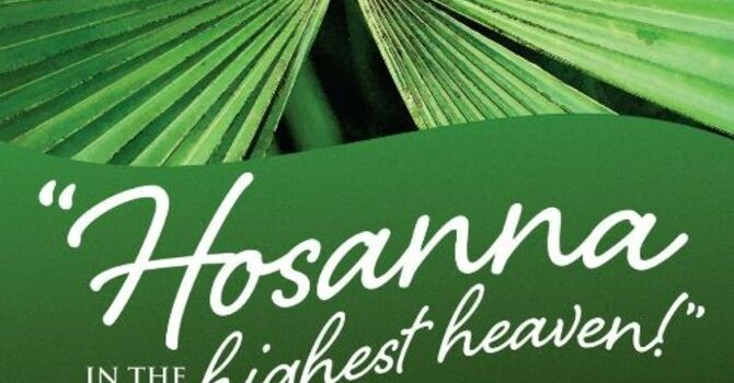 Unbound: The Parade of Power or the Path of Peace -Palm Sunday 3/29/26