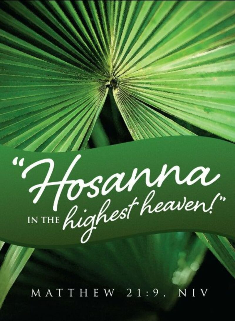 Unbound: The Parade of Power or the Path of Peace -Palm Sunday 3/29/26