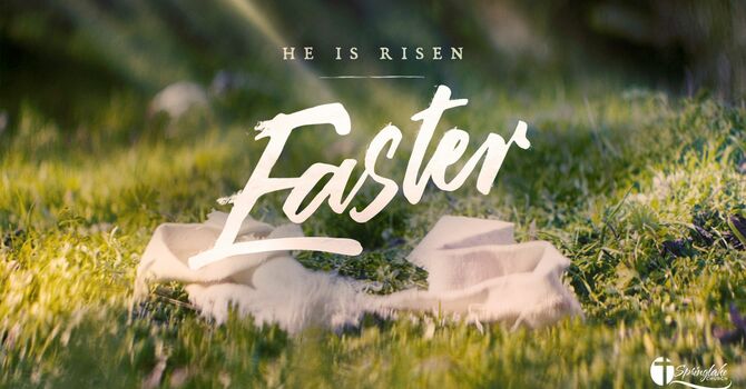 Why Are You Looking For The Living Among The Dead?