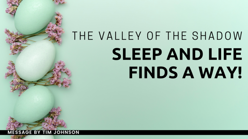 The Valley of the Shadow, Sleep and Life Finds a Way
