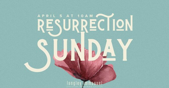 Trembling and Bewildered