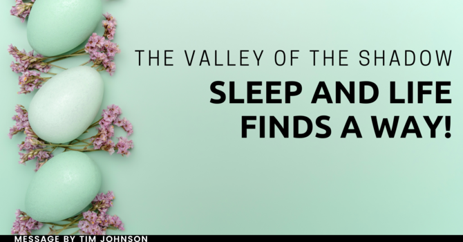 The Valley of the Shadow, Sleep and Life Finds a Way