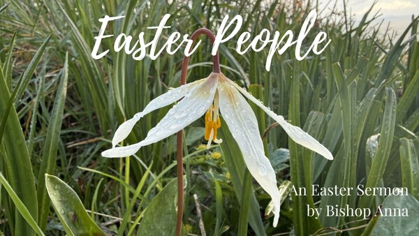 Easter Message from Bishop Anna