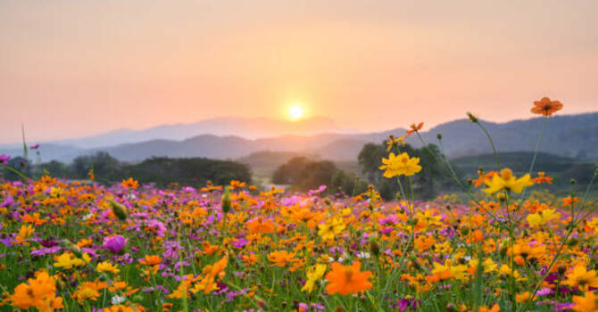 April 6, 2026 Devotion image