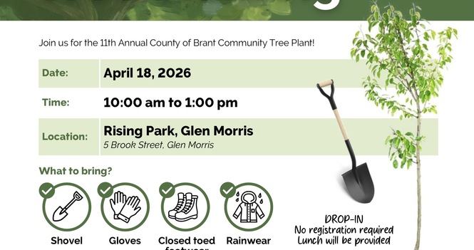 Let’s Get Growing Glen Morris!