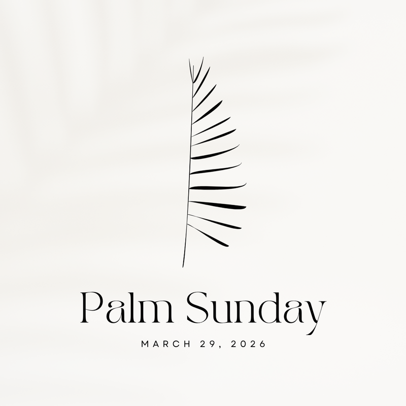 "The Meaning of Palm Sunday"