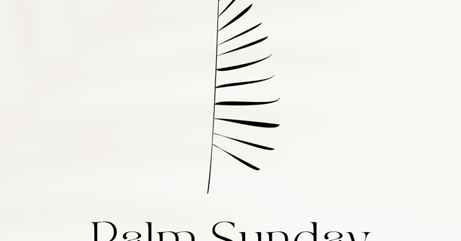 "The Meaning of Palm Sunday"