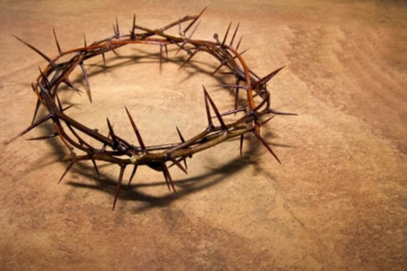 The Crown of Thorns